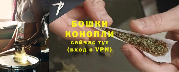 прущие грибы Инсар