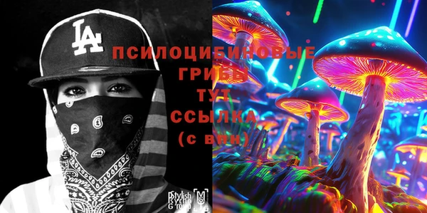spice Абинск